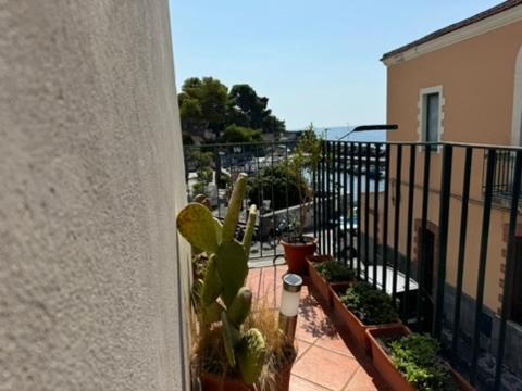 Swim Apartment Fronte Mare CTA Exteriör bild